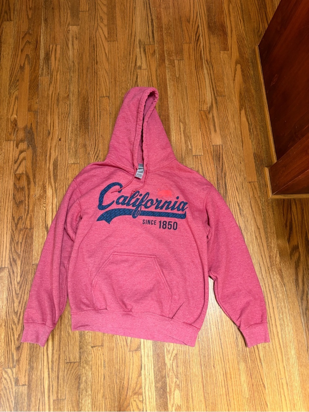 California Graphic Hoodie - Pink